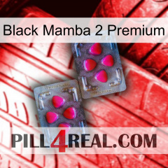 Black Mamba 2 Premium 15